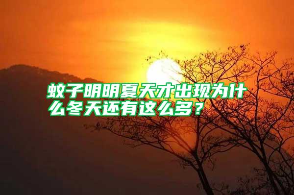 蚊子明明夏天才出現(xiàn)為什么冬天還有這么多?