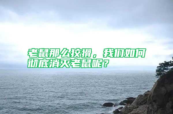 老鼠那么狡猾，我們?nèi)绾螐氐紫麥缋鲜竽兀?/></p>
             <p style=