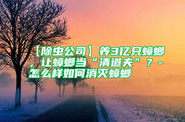 【除蟲公司】養(yǎng)3億只蟑螂,讓蟑螂當“清道夫”?-怎么樣如何消滅蟑螂
