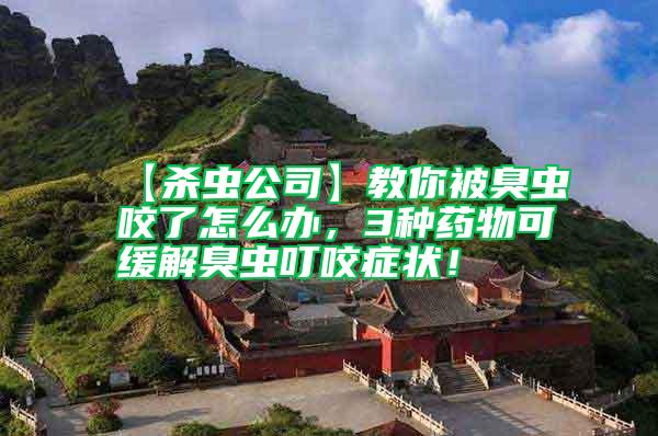 【殺蟲公司】教你被臭蟲咬了怎么辦，3種藥物可緩解臭蟲叮咬癥狀！