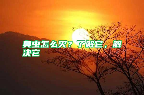 臭蟲怎么滅?了解它,解決它