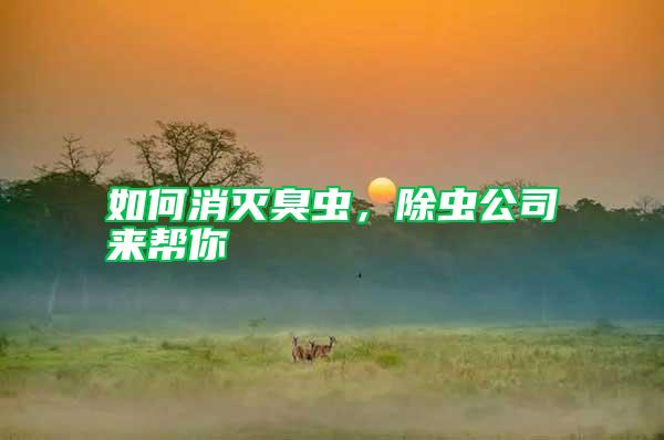 如何消滅臭蟲(chóng)，除蟲(chóng)公司來(lái)幫你