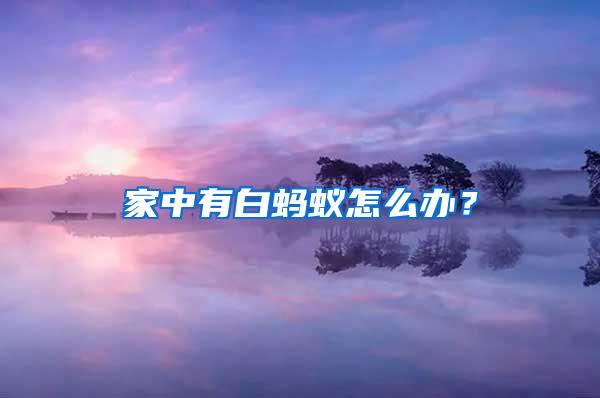 家中有白螞蟻怎么辦？