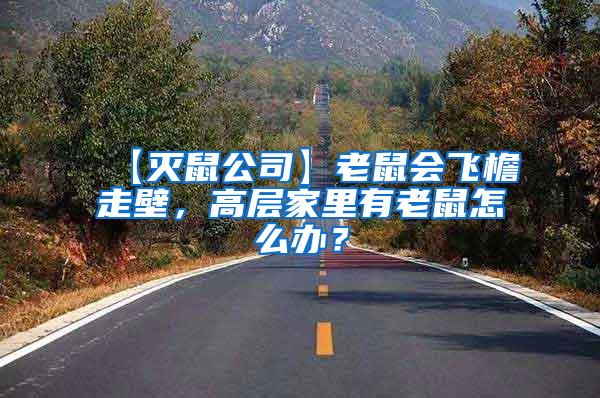 【滅鼠公司】老鼠會(huì)飛檐走壁，高層家里有老鼠怎么辦？