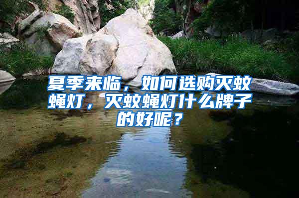 夏季來臨，如何選購滅蚊蠅燈，滅蚊蠅燈什么牌子的好呢？