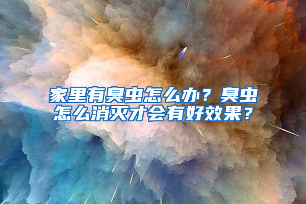家里有臭蟲怎么辦？臭蟲怎么消滅才會有好效果？