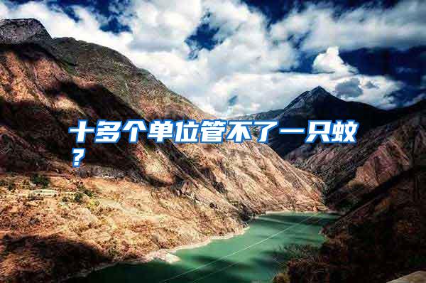 十多個單位管不了一只蚊？