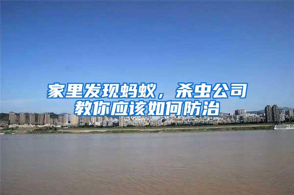 家里發(fā)現(xiàn)螞蟻,殺蟲(chóng)公司教你應(yīng)該如何防治