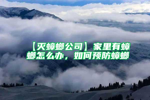 【滅蟑螂公司】家里有蟑螂怎么辦，如何預防蟑螂