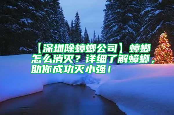 【深圳除蟑螂公司】蟑螂怎么消滅?詳細了解蟑螂,助你成功滅小強!