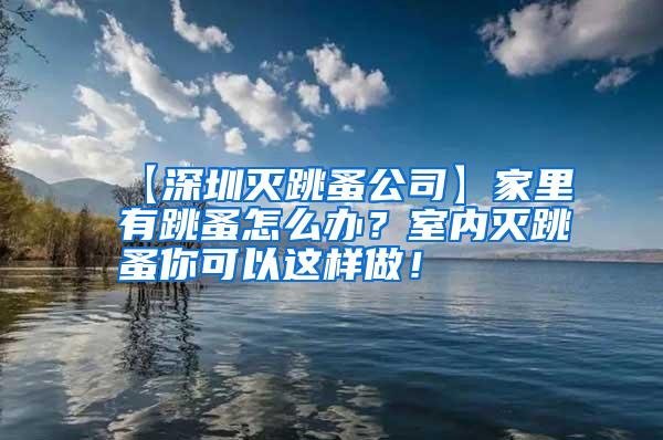 【深圳滅跳蚤公司】家里有跳蚤怎么辦？室內滅跳蚤你可以這樣做！