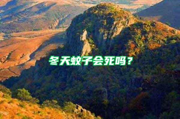 冬天蚊子會死嗎?