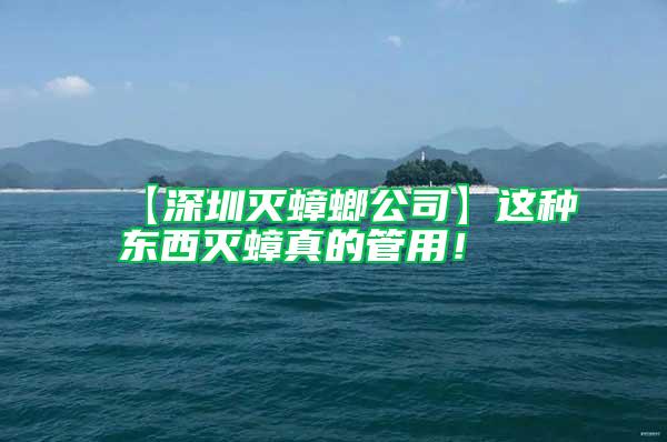 【深圳滅蟑螂公司】這種東西滅蟑真的管用!