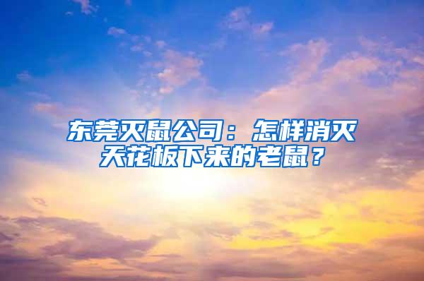 東莞滅鼠公司：怎樣消滅天花板下來的老鼠？