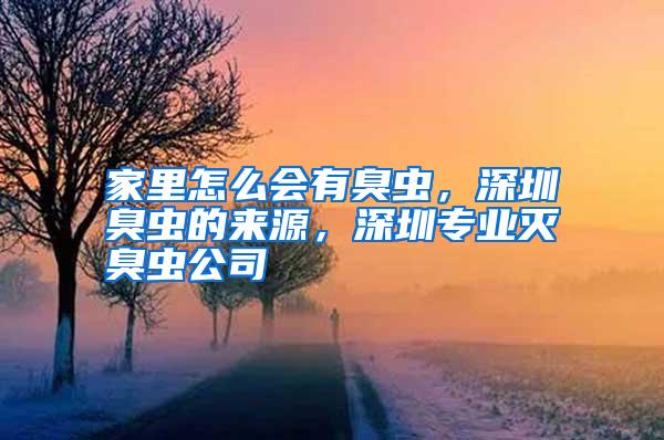 家里怎么會有臭蟲，深圳臭蟲的來源，深圳專業(yè)滅臭蟲公司