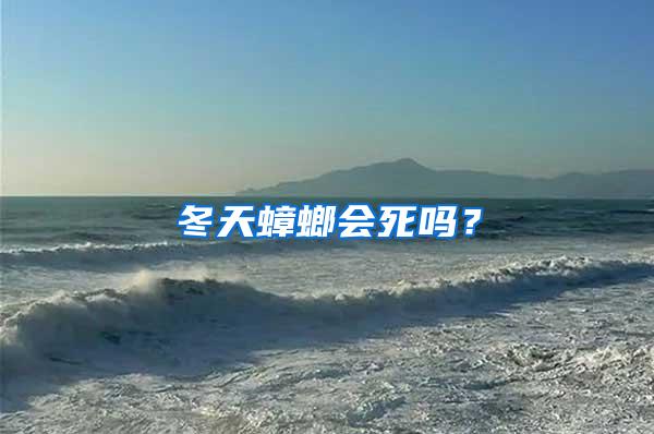 冬天蟑螂會死嗎？