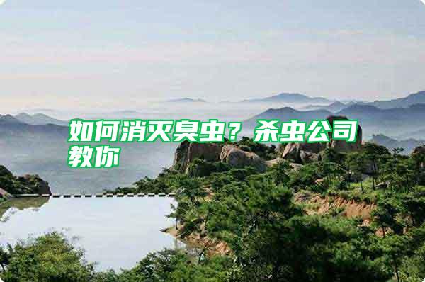 如何消滅臭蟲(chóng)？殺蟲(chóng)公司教你