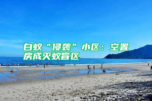 白蟻“侵襲”小區：空置房成滅蟻盲區