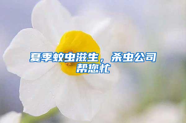 夏季蚊蟲滋生,殺蟲公司幫您忙