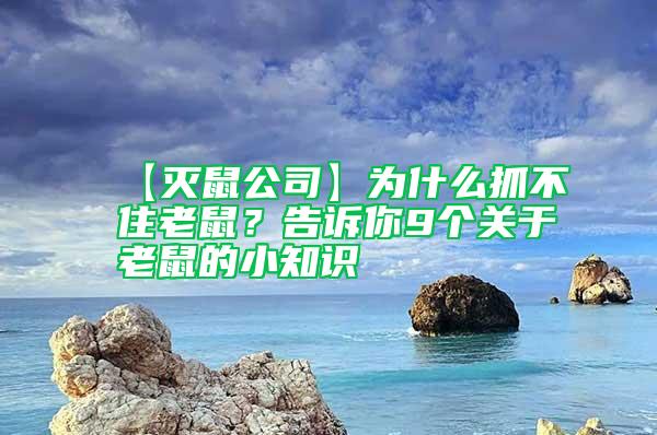【滅鼠公司】為什么抓不住老鼠？告訴你9個關于老鼠的小知識