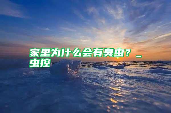 家里為什么會有臭蟲?_蟲控