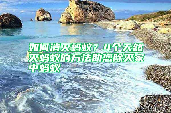 如何消滅螞蟻？4個(gè)天然滅螞蟻的方法助您除滅家中螞蟻