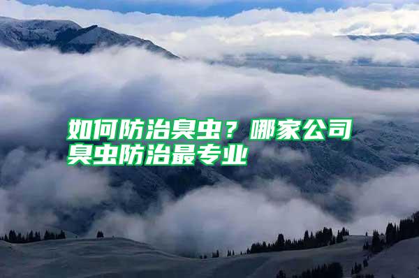 如何防治臭蟲？哪家公司臭蟲防治最專業