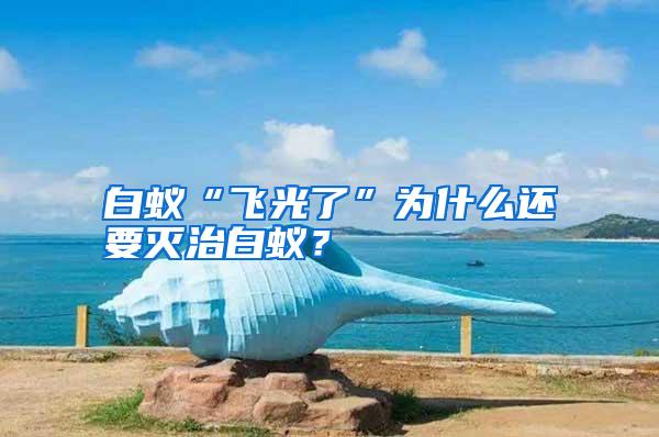 白蟻“飛光了”為什么還要滅治白蟻？