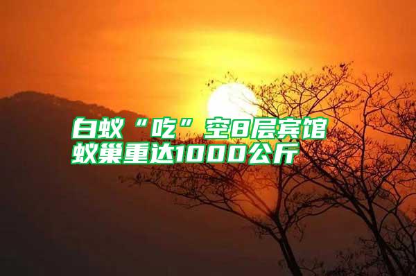 白蟻“吃”空8層賓館 蟻巢重達1000公斤