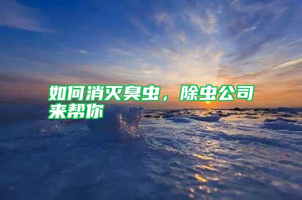 如何消滅臭蟲，除蟲公司來幫你