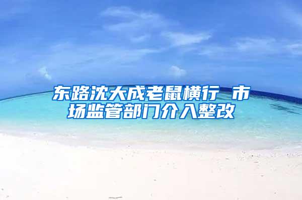 東路沈大成老鼠橫行 市場監(jiān)管部門介入整改