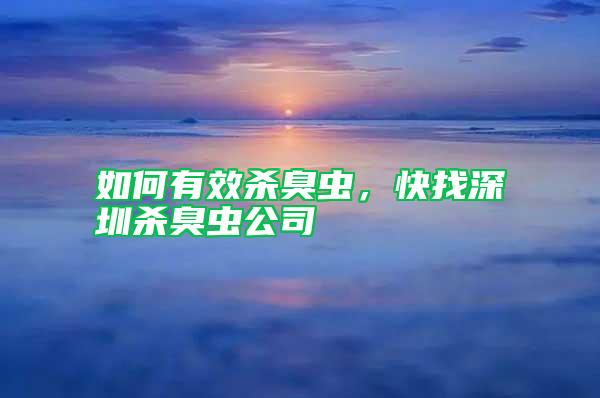 如何有效殺臭蟲，快找深圳殺臭蟲公司