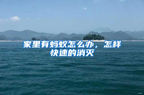 家里有螞蟻怎么辦，怎樣快速的消滅