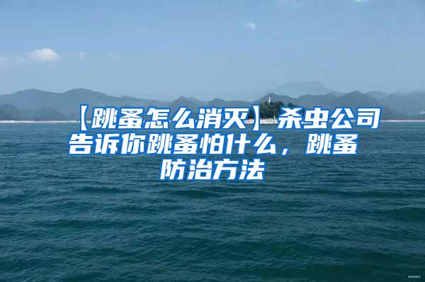 【跳蚤怎么消滅】殺蟲公司告訴你跳蚤怕什么,跳蚤防治方法