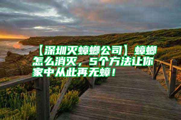 【深圳滅蟑螂公司】蟑螂怎么消滅，5個(gè)方法讓你家中從此再無(wú)蟑！