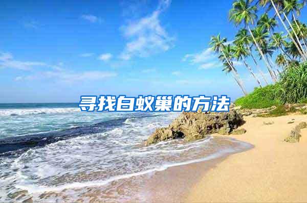 尋找白蟻巢的方法