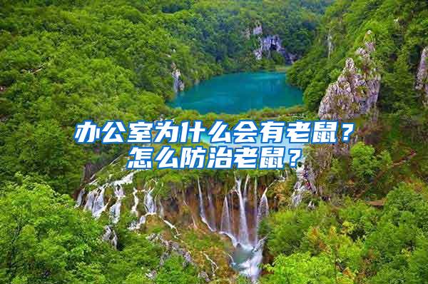 辦公室為什么會有老鼠？怎么防治老鼠？