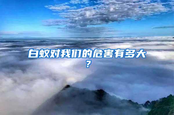 白蟻對我們的危害有多大？