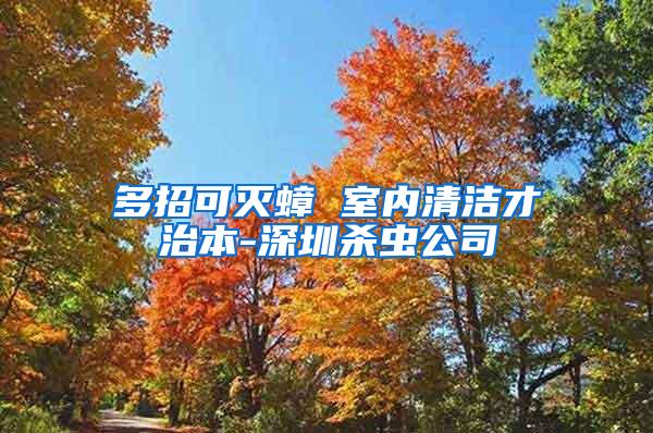 多招可滅蟑 室內(nèi)清潔才治本-深圳殺蟲公司