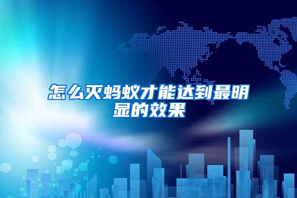 怎么滅螞蟻才能達(dá)到最明顯的效果