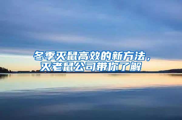冬季滅鼠高效的新方法，滅老鼠公司帶你了解