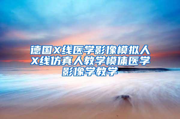 德國X線醫(yī)學(xué)影像模擬人X線仿真人教學(xué)模體醫(yī)學(xué)影像學(xué)教學(xué)