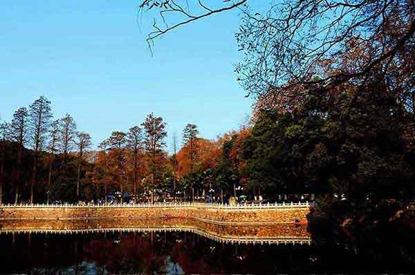 殺蟲公司介紹幾種滅螞蟻?zhàn)罴逊椒?/></p>
             <p style=