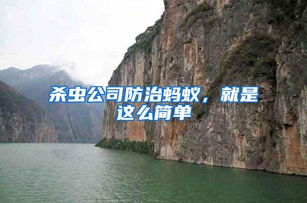 殺蟲公司防治螞蟻，就是這么簡單