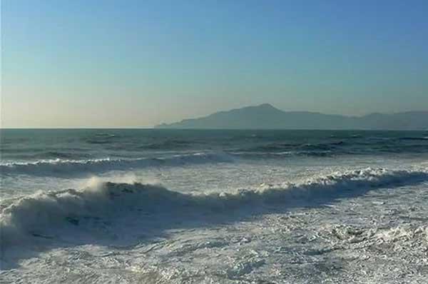 常見(jiàn)害蟲(chóng)及防治方法