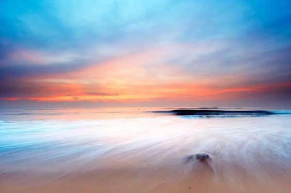 白蟻爆發(fā) 每天20戶居民家發(fā)現白蟻