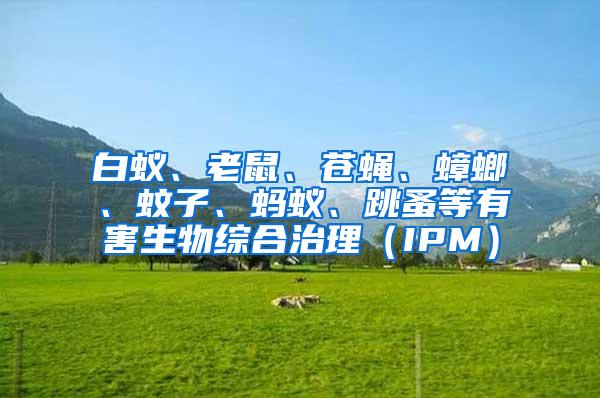 白蟻、老鼠、蒼蠅、蟑螂、蚊子、螞蟻、跳蚤等有害生物綜合治理（IPM）