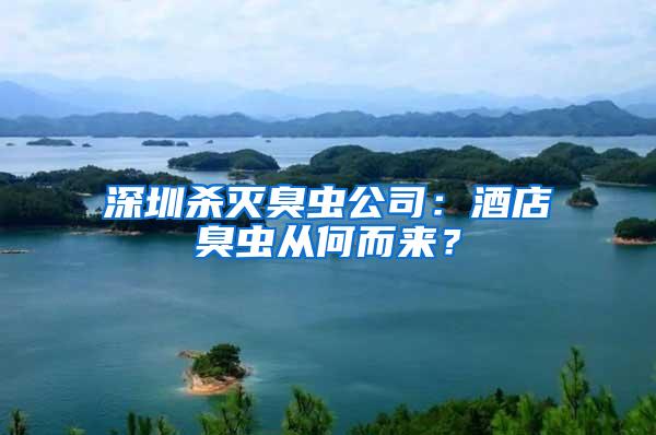 深圳殺滅臭蟲公司：酒店臭蟲從何而來？