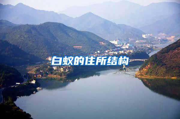 白蟻的住所結(jié)構(gòu)