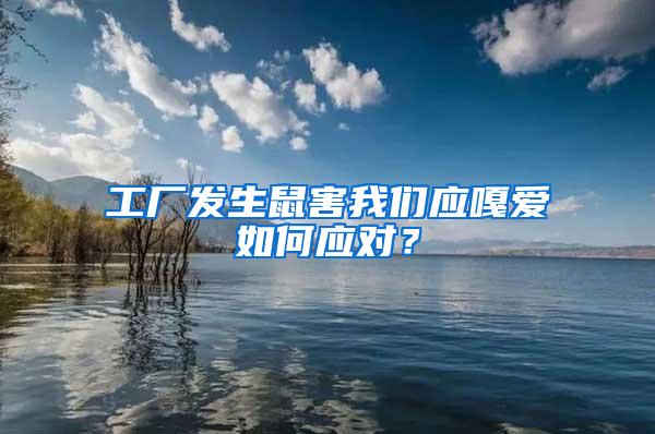工廠發(fā)生鼠害我們應(yīng)嘎愛如何應(yīng)對(duì)？